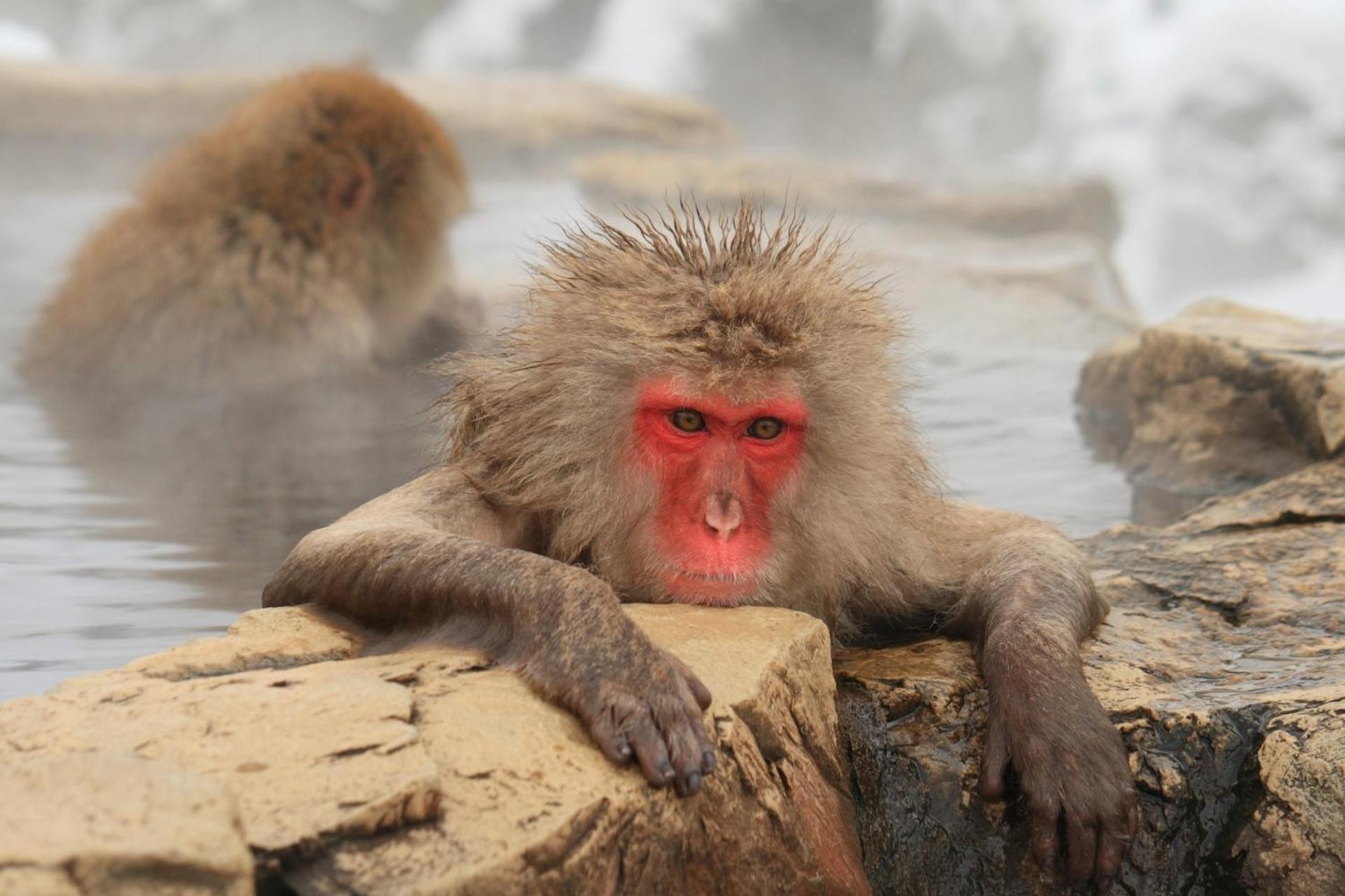 Sa In Nagano Ishido - Vacation Stay 52524V ภายนอก รูปภาพ